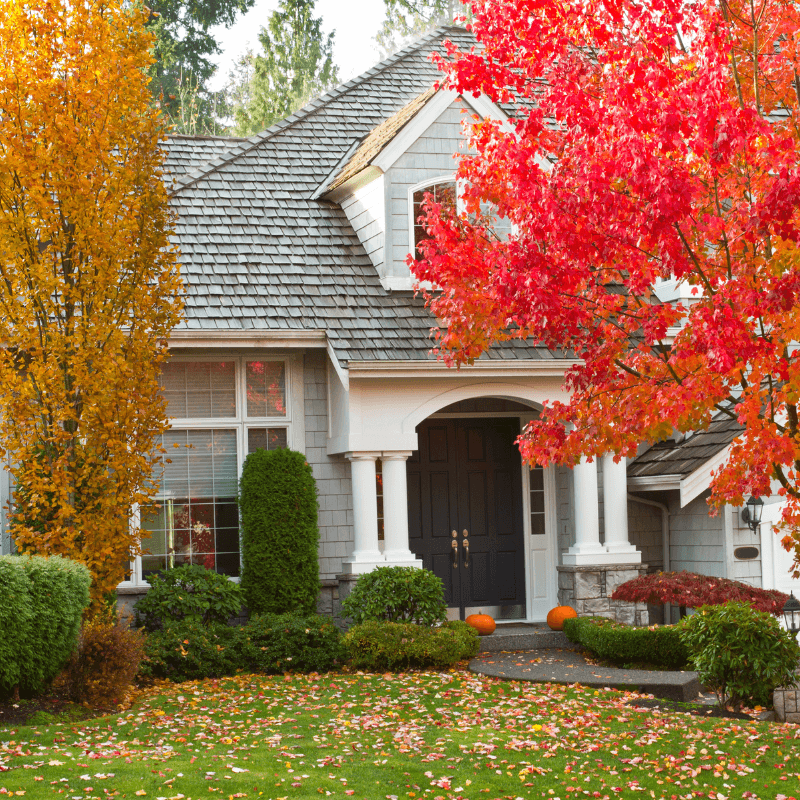house during the fall season