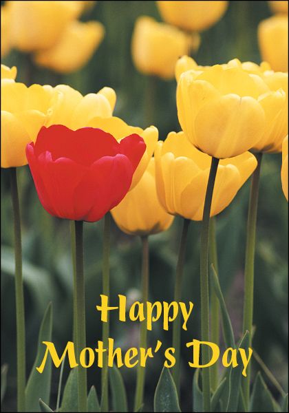 Holiday Cards: Mother's Day Tulip